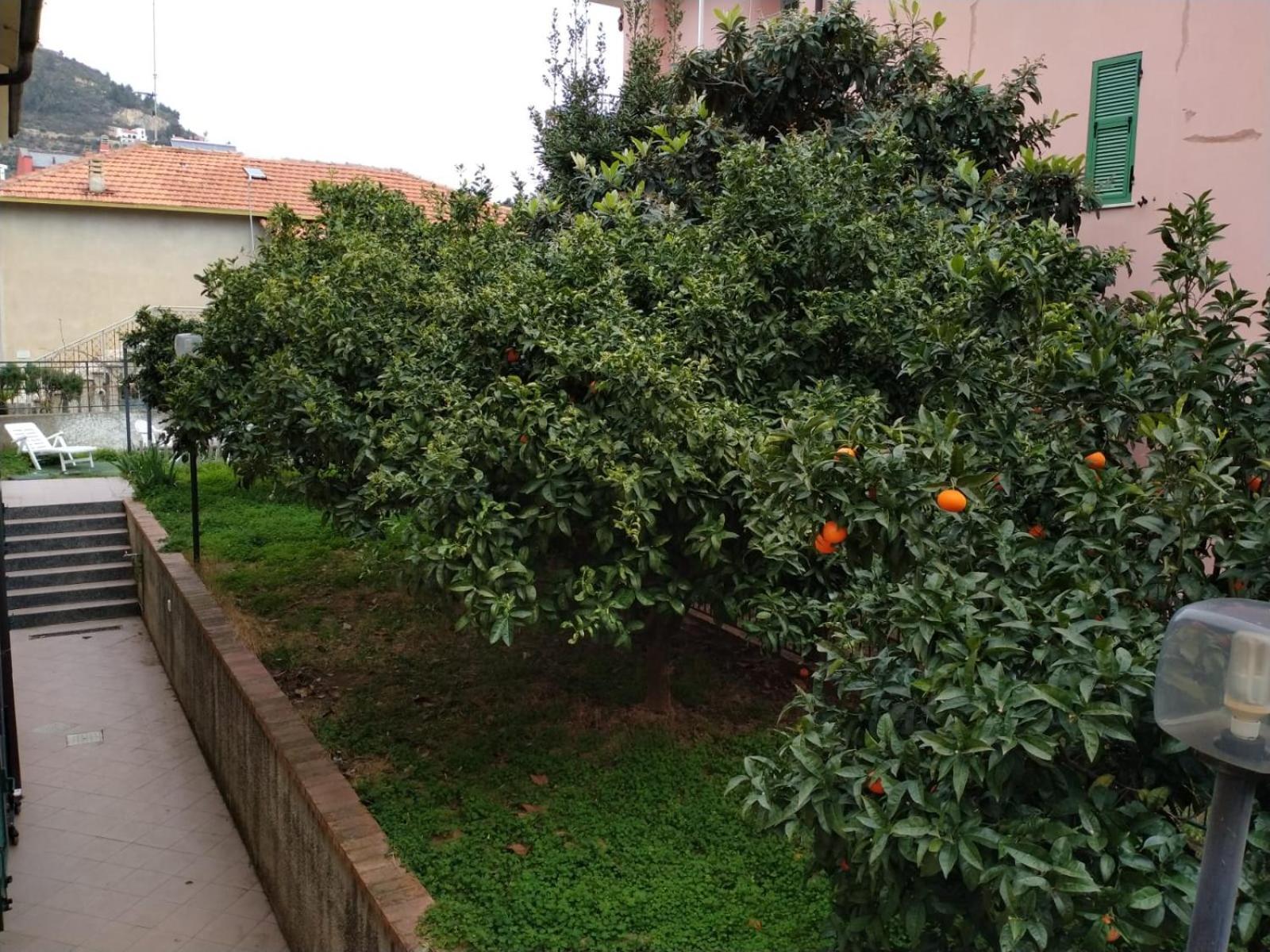 La Casa Di Cri Al Mare Due Villa Borgio Verezzi Eksteriør billede